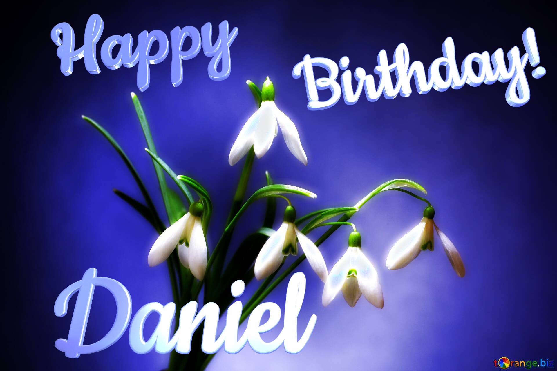 Happy               Birthday! Daniel  Flowers №0