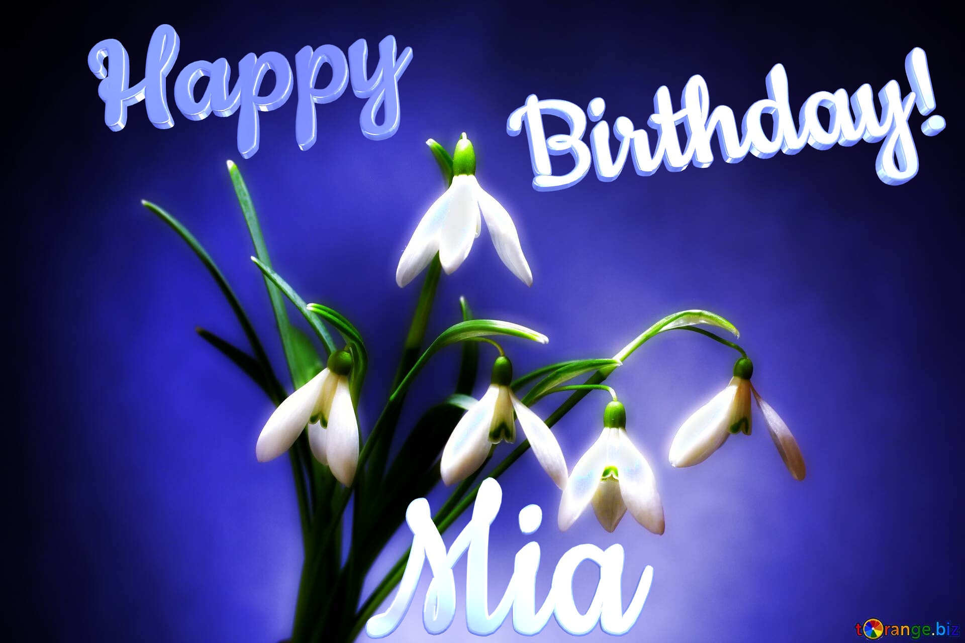 Happy               Birthday! Mia  Flowers №0