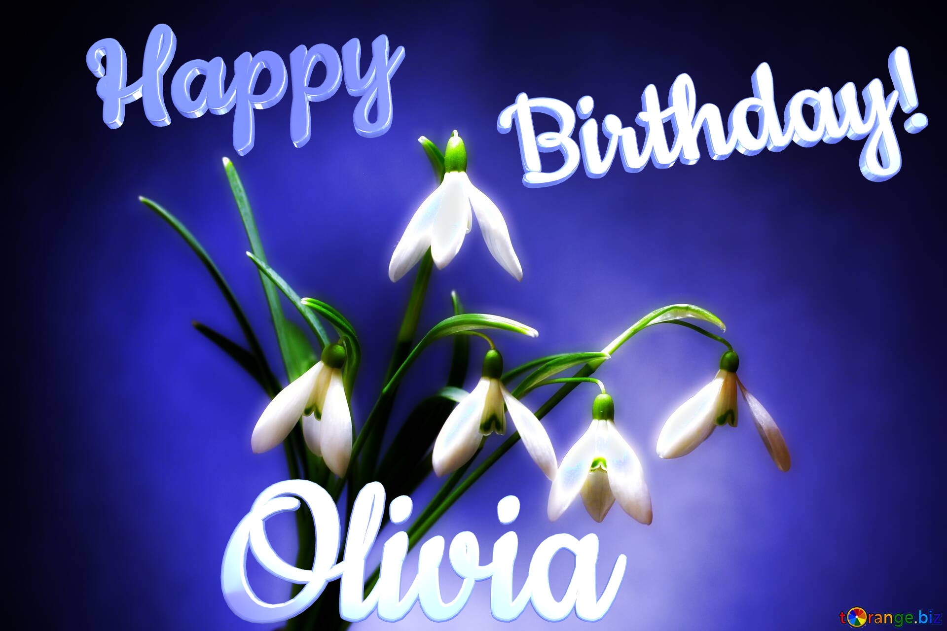 Happy               Birthday! Olivia  Flowers №0