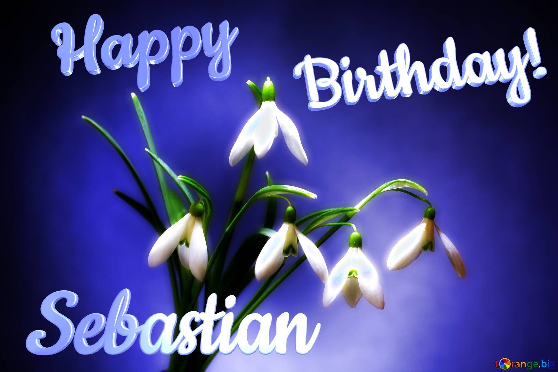 Happy               Birthday! Sebastian  Flowers №0