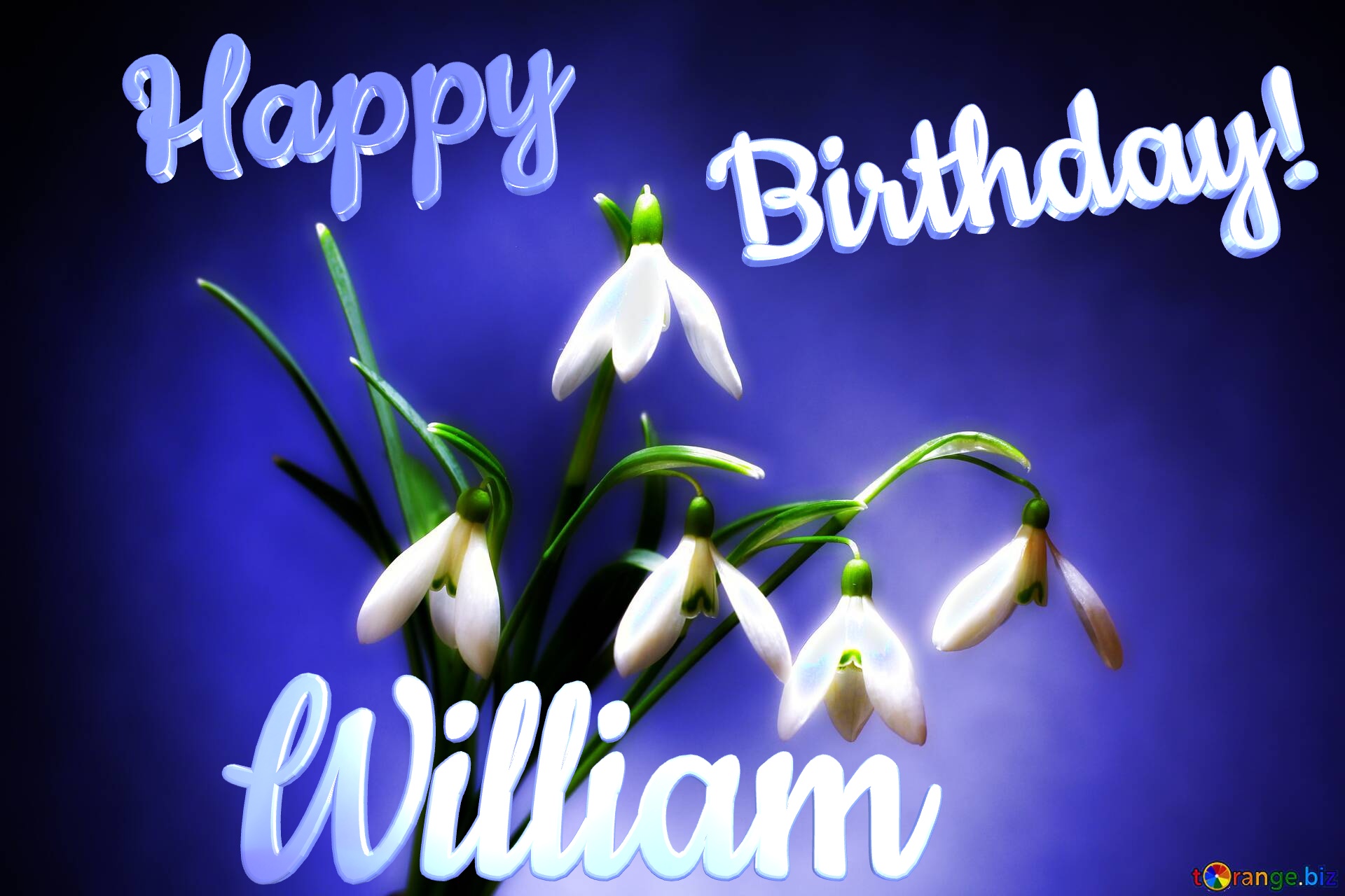 Happy               Birthday! William  Flowers №0