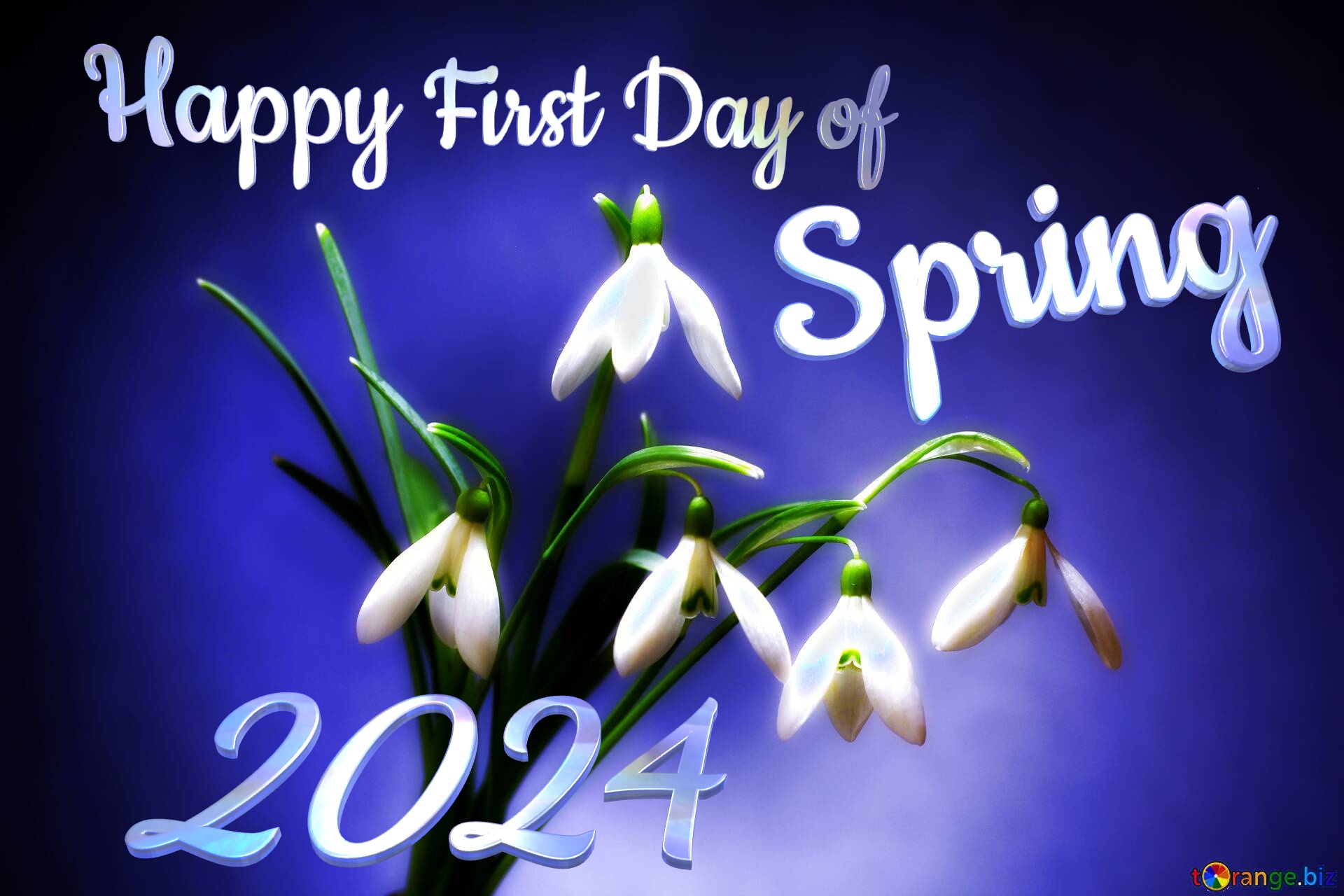 Happy First Day of Spring 2024  Flowers №0