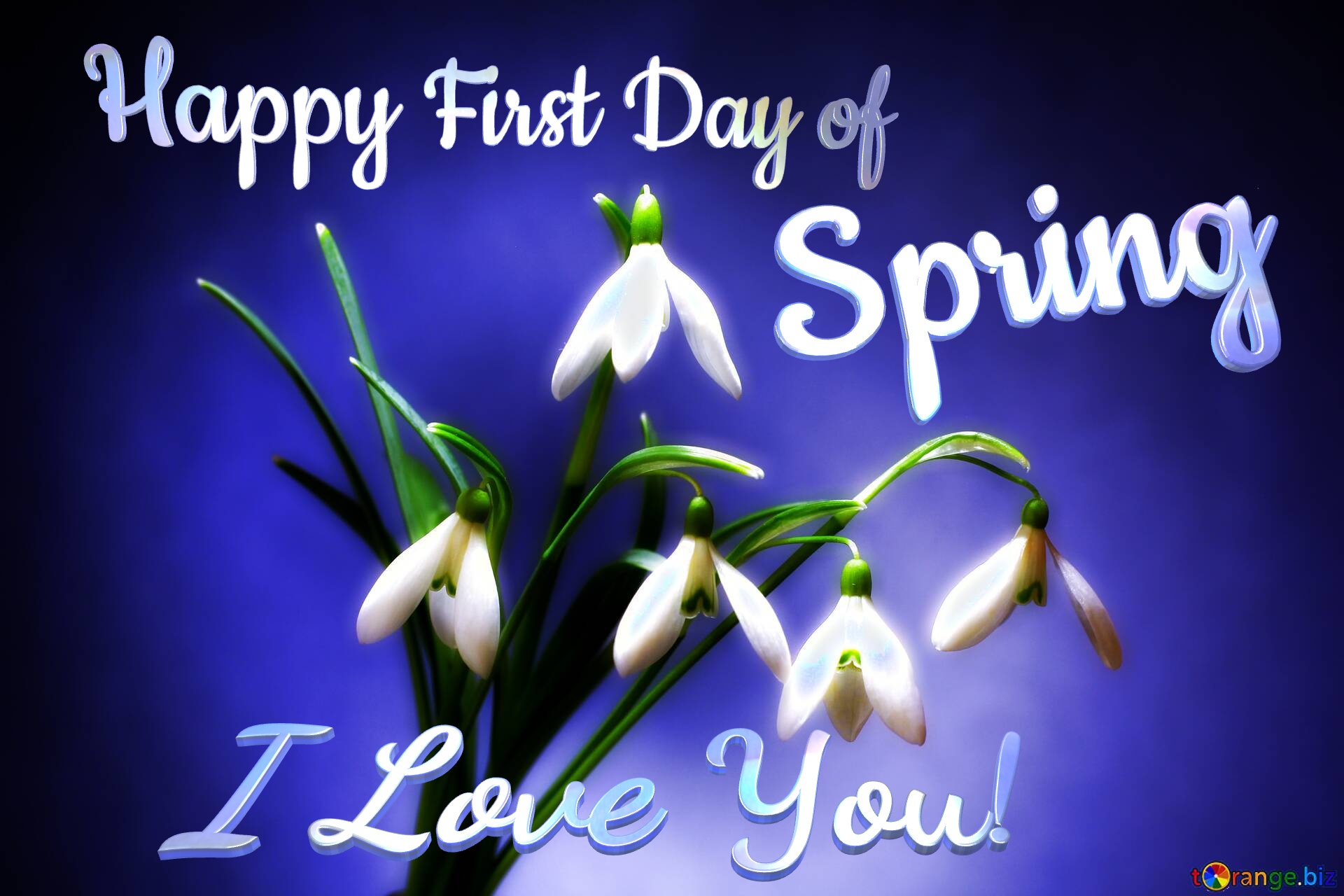 Happy First Day of Spring I Love You!  Flowers №0