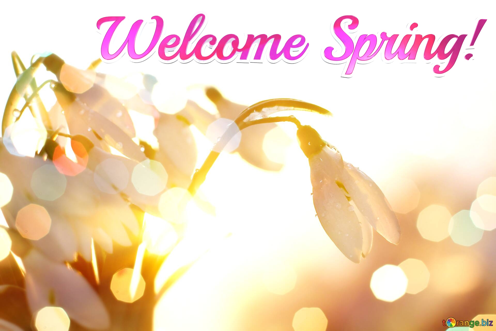 Welcome Spring! Spring background №0