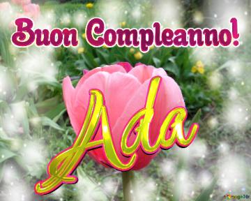 Buon Compleanno! Ada 