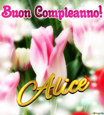 Buon Compleanno! Alice  Il Tulipano è Un Simbolo Di Fortuna, Auguri Per Una Vita Fortunata.