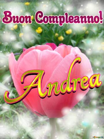 Buon Compleanno! Andrea  Il Tulipano è Un Simbolo Di Perfezione, Auguri Per Una Vita Perfetta.