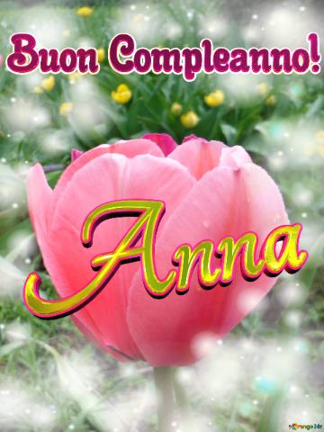 Buon Compleanno! Anna  Il Tulipano è Un Simbolo Di Perfezione, Auguri Per Una Vita Perfetta.