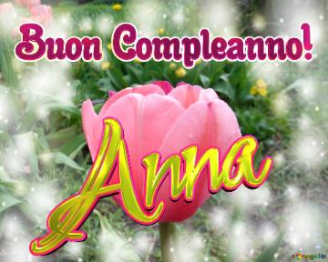 Buon Compleanno! Anna  Questi Tulipani Ti Portano La Bellezza E La Felicità Della Vita, Goditi...