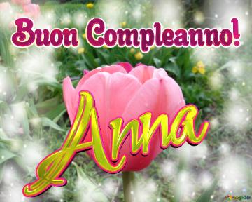 Buon Compleanno! Anna  Questi tulipani ti portano la bellezza e la felicità della vita, goditi ogni istante.