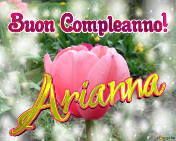 Buon Compleanno! Arianna  Questi Tulipani Ti Portano La Bellezza E La Felicità Della Vita, Goditi...