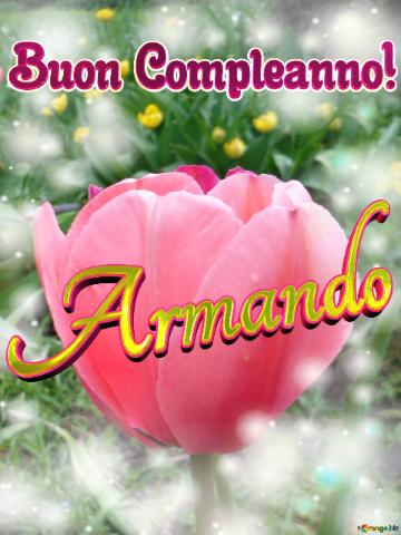 Buon Compleanno! Armando 