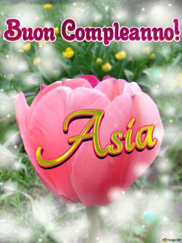 Buon Compleanno! Asia  Il tulipano è un simbolo di perfezione, auguri per una vita perfetta.