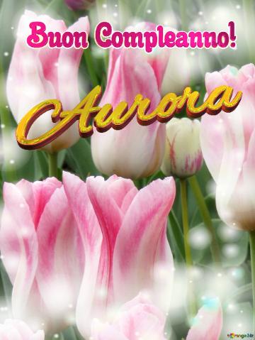 Buon Compleanno! Aurora  Che Questi Tulipani Ti Portino L`amore E La Pace Nel Tuo Cuore.
