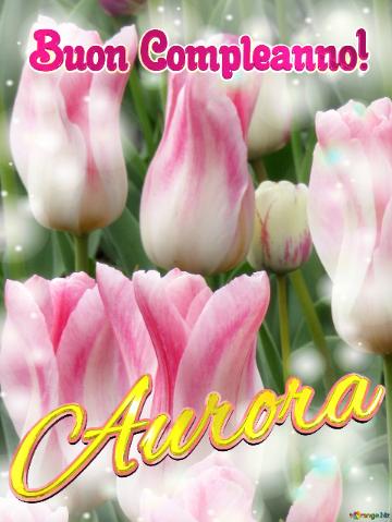 Buon Compleanno! Aurora  Il Tulipano è Un Simbolo Di Amore E Di Fedeltà, Auguri Per Una Vita...