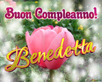 Buon Compleanno! Benedetta  Questi Tulipani Ti Portano La Bellezza E La Felicità Della Vita,...