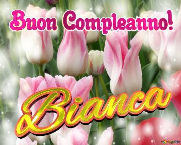 Buon Compleanno! Bianca  Questi Tulipani Ti Portano L`energia Della Vita E La Bellezza Della Natura.