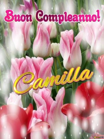 Buon Compleanno! Camilla  Buona Primavera, Che Questi Tulipani Ti Portino La Freschezza Della...