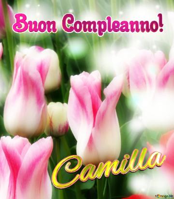 Buon Compleanno! Camilla  Questi Tulipani Ti Portano La Speranza Per Un Futuro Pieno Di Successi E...