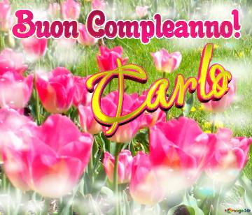 Buon Compleanno! Carlo  La Bellezza Dei Tulipani è Un Richiamo Alla Bellezza Della Vita, Auguri...