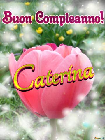 Buon Compleanno! Caterina 