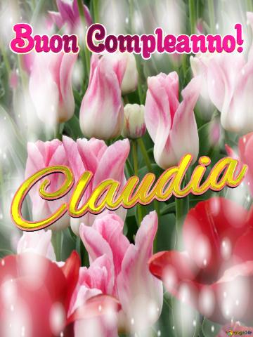 Buon Compleanno! Claudia 