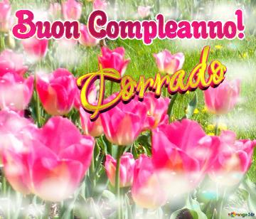 Buon Compleanno! Corrado  La Bellezza Dei Tulipani è Un Richiamo Alla Bellezza Della Vita, Auguri...