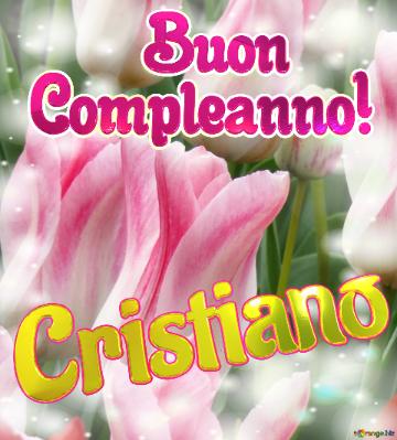       Buon  Compleanno! Cristiano  La Bellezza Dei Tulipani è Un Richiamo Alla Semplicità Della...