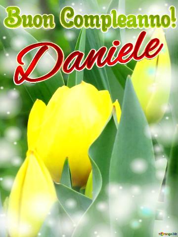 Buon Compleanno! Daniele  Il Colore Vivace Dei Tulipani è Un Richiamo Alla Gioia Di Vivere, Auguri!
