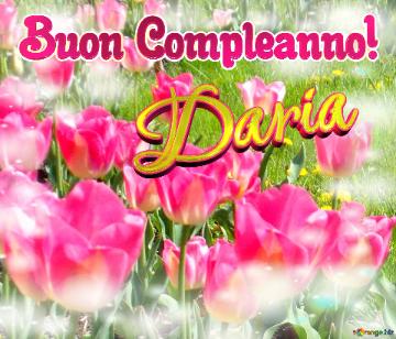 Buon Compleanno! Daria  La Bellezza Dei Tulipani è Un Richiamo Alla Bellezza Della Vita, Auguri...