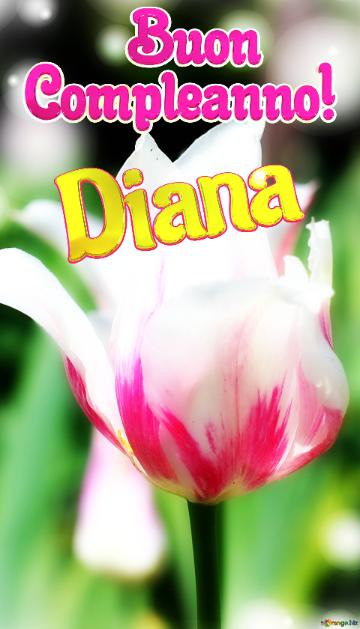       Buon  Compleanno! Diana 