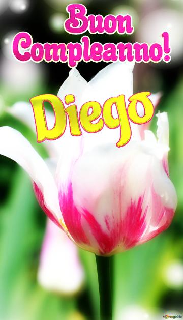       Buon  Compleanno! Diego  Che Questi Fiori Ti Portino La Stessa Bellezza E Felicità Della...