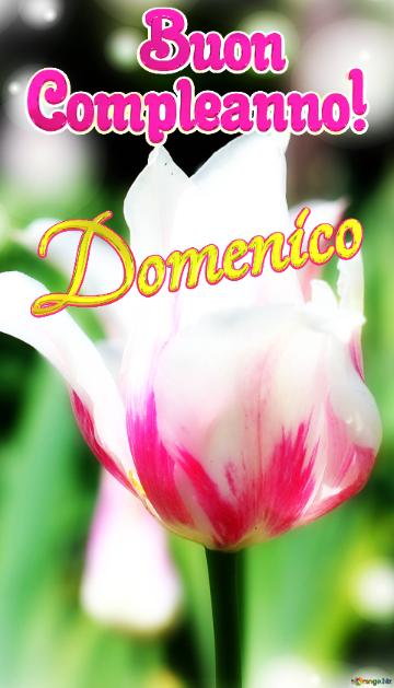       Buon  Compleanno! Domenico  Che questi fiori ti portino la stessa bellezza e felicità della primavera.