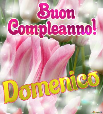       Buon  Compleanno! Domenico 