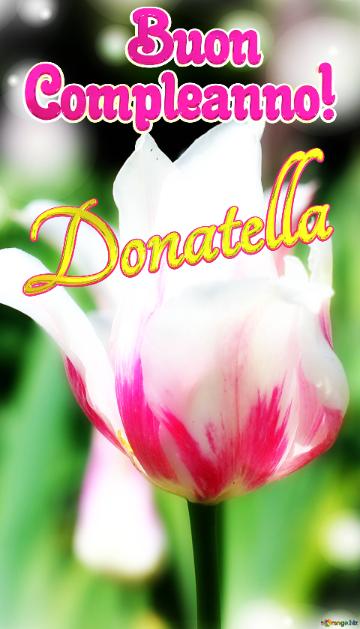       Buon  Compleanno! Donatella  Che questi fiori ti portino la stessa bellezza e felicità della primavera.