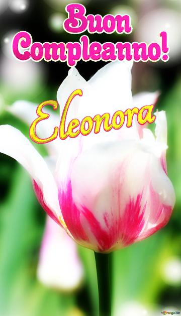       Buon  Compleanno! Eleonora  Che Questi Fiori Ti Portino La Stessa Bellezza E Felicità Della...