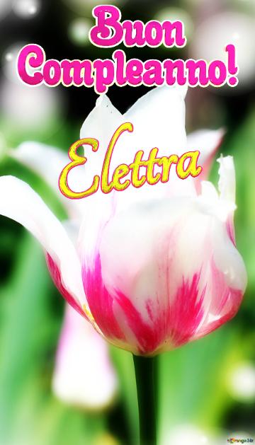       Buon  Compleanno! Elettra  Che Questi Fiori Ti Portino La Stessa Bellezza E Felicità Della...