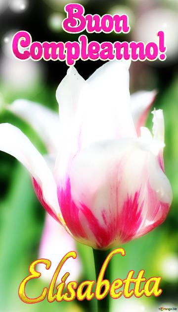       Buon  Compleanno! Elisabetta  Che Questi Fiori Ti Portino La Stessa Bellezza E Felicità...