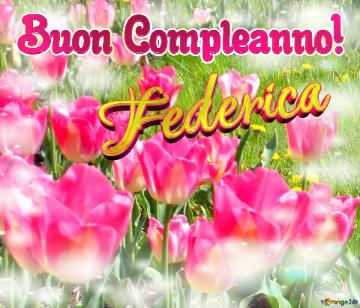 Buon Compleanno! Federica  La Bellezza Dei Tulipani è Un Richiamo Alla Bellezza Della Vita, Auguri ...