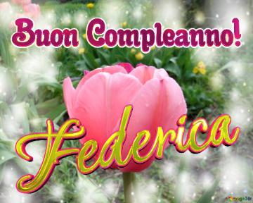 Buon Compleanno! Federica 