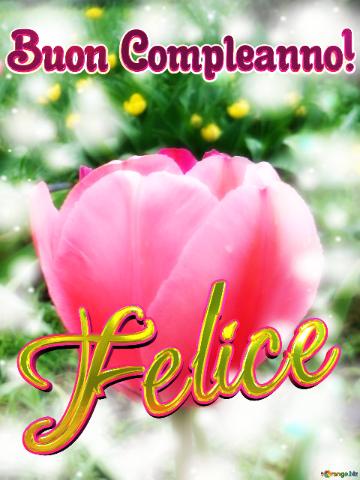 Buon Compleanno! Felice 