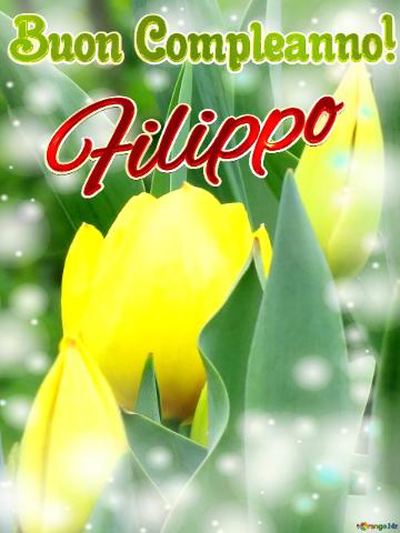 Buon Compleanno! Filippo  Il Colore Vivace Dei Tulipani è Un Richiamo Alla Gioia Di Vivere, Auguri!