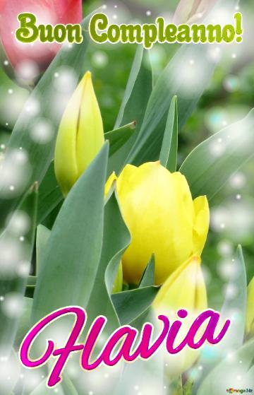 Buon Compleanno! Flavia  Il Colore Dei Tulipani è Un Richiamo Alla Bellezza Della Natura, Goditela ...