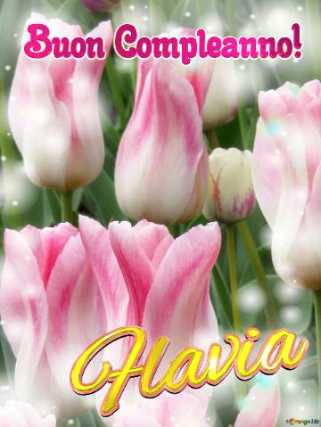 Buon Compleanno! Flavia  Il Tulipano è Un Simbolo Di Amore E Di Fedeltà, Auguri Per Una Vita...