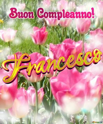 Buon Compleanno! Francesco  Che Questi Tulipani Ti Portino La Gioia E La Felicità Che Hai Sempre...