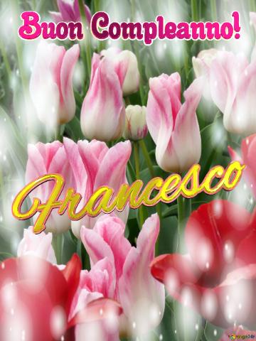 Buon Compleanno! Francesco  La bellezza dei tulipani è solo una piccola parte della bellezza della vita, goditi ogni istante.