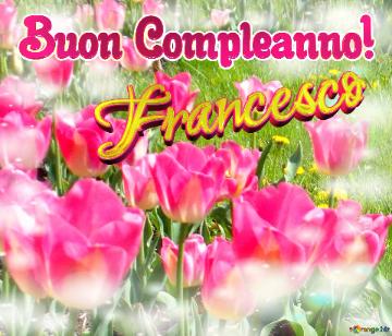 Buon Compleanno! Francesco 