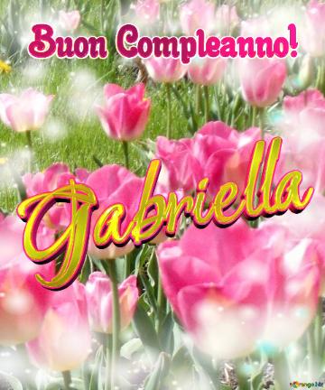 Buon Compleanno! Gabriella  Che Questi Tulipani Ti Portino La Gioia E La Felicità Che Hai Sempre...