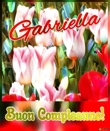 Buon Compleanno! Gabriella  Che Questi Tulipani Ti Portino Serenità E Pace Nel Tuo Cuore.