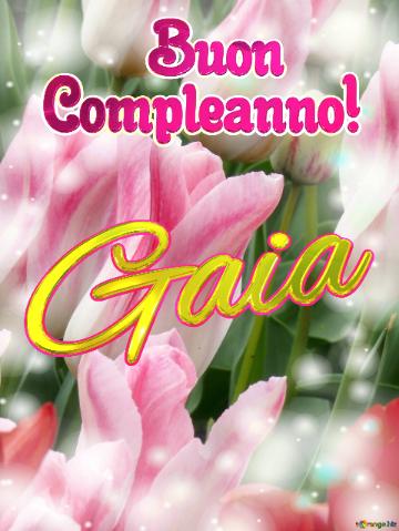       Buon  Compleanno! Gaia  Buona Primavera, Che Questi Tulipani Ti Portino La Speranza E La...